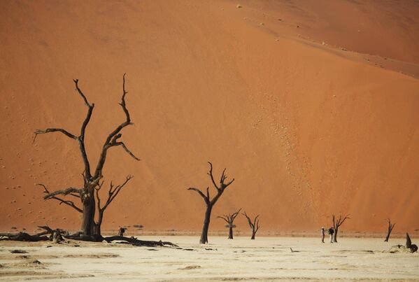 El Valle Muerto, en el desierto de Namibia. - Sputnik Mundo