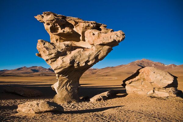 El Árbol de Piedra es una formación rocosa volcánica del desierto de Siloli, en Bolivia. La roca se caracteriza por su forma de árbol. El desierto de Siloli se considera parte del desierto de Atacama, en el vecino Chile. - Sputnik Mundo