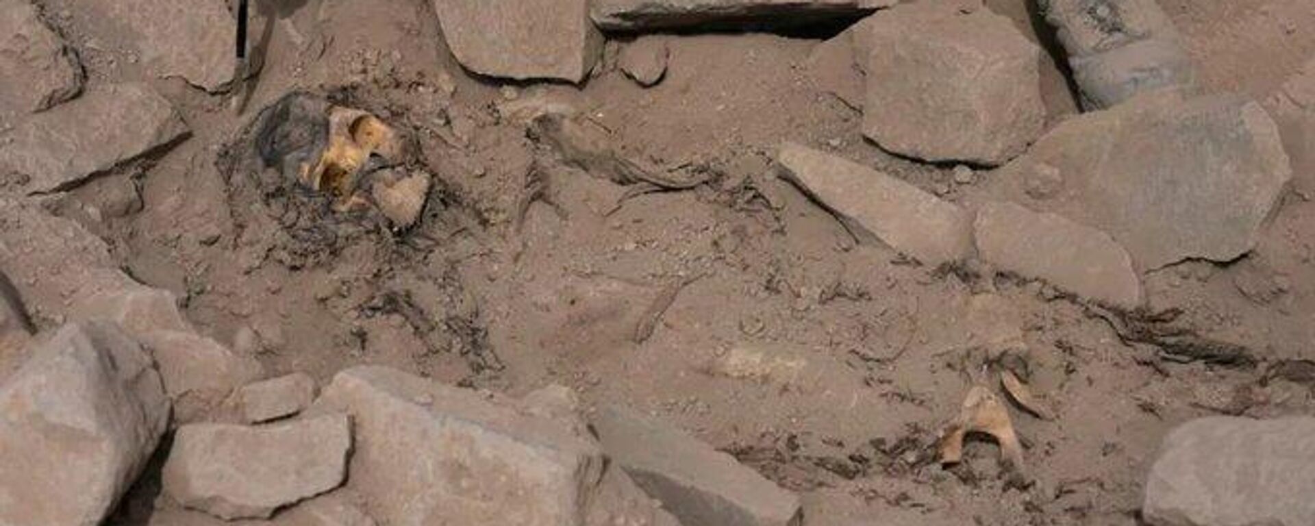 La momia de 3000 años hallada en Perú - Sputnik Mundo, 1920, 18.06.2023