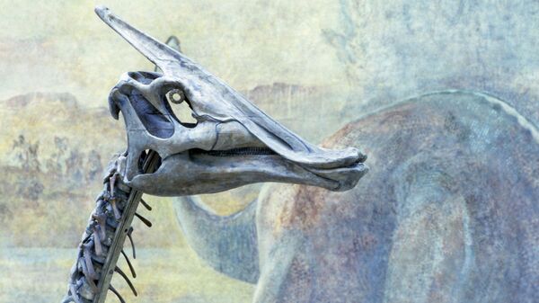 El esqueleto de un dinosaurio de pico de pato - Sputnik Mundo