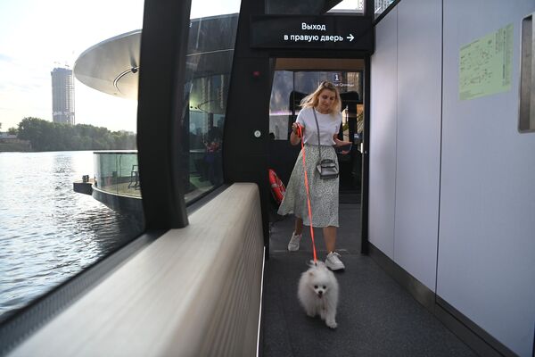 Una pasajera con su perro en la cubierta de un tranvía fluvial en Moscú. - Sputnik Mundo