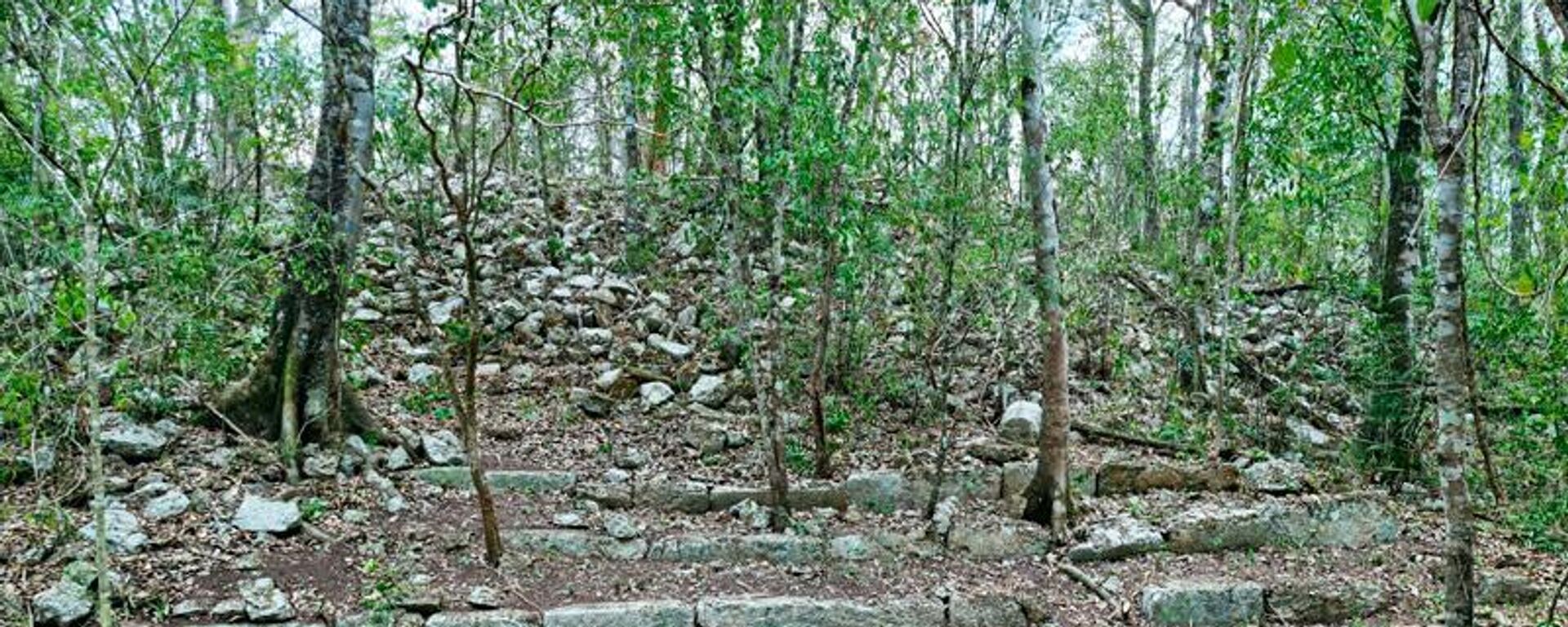 Ocomtún, la antigua ciudad maya descubierta en el sureste mexicano  - Sputnik Mundo, 1920, 28.06.2023