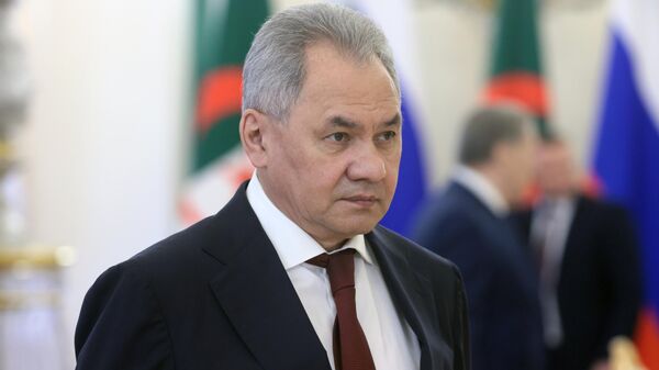 El secretario del Consejo de Seguridad de Rusia (CSR), Serguéi Shoigú - Sputnik Mundo