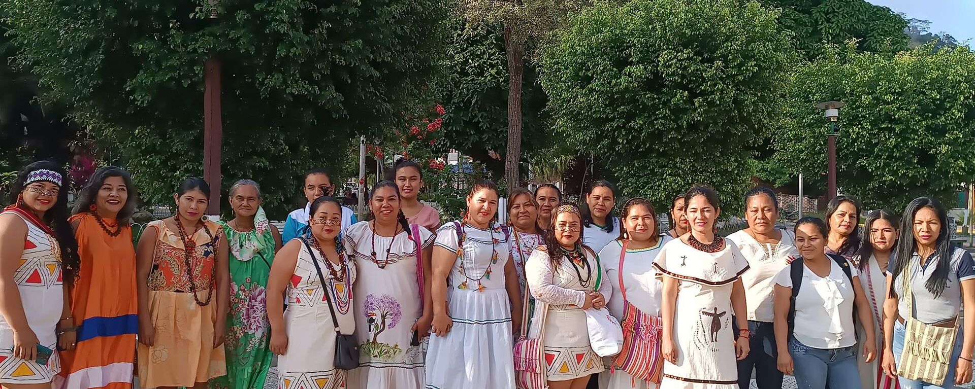 Encuentro Nacional de Mujeres Indígenas - Sputnik Mundo, 1920, 01.07.2023