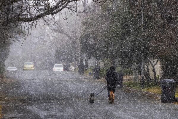 Un hombre pasea a sus perros durante una nevada en Johannesburgo, Sudáfrica. - Sputnik Mundo