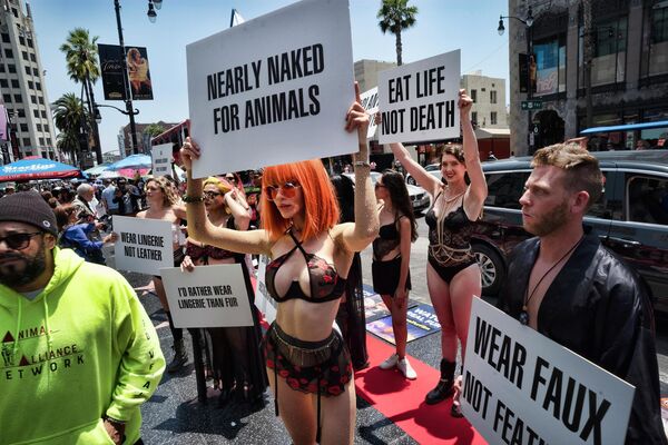 Un grupo de activistas por los animales y el clima protestan en el Paseo de la Fama de Hollywood en Los Ángeles, EEUU. - Sputnik Mundo