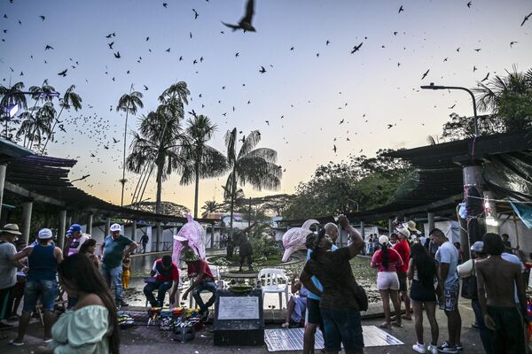 Pájaros sobrevuelan la plaza principal de Leticia, Colombia. - Sputnik Mundo