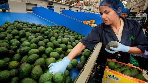 Crecen 4,48% exportaciones agroalimentarias mexicanas en periodo enero-mayo de 2023 - Sputnik Mundo