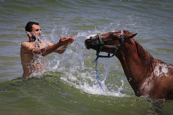 Un hombre baña a un caballo en la ciudad de Gaza, Palestina. - Sputnik Mundo