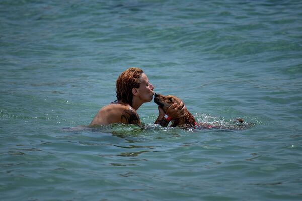 En algunas partes de España, los termómetros marcaban 44 grados centígrados y, según  los meteorólogos, esto no es el límite. En la foto: una mujer nadando con su perro en el mar cerca de una playa de Barcelona. - Sputnik Mundo