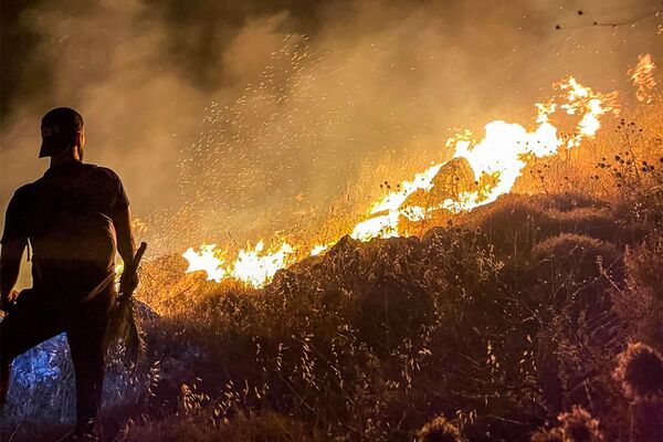 Los incendios forestales también han arrasado Siria y el Líbano.Foto: fuego en la ladera de una montaña cerca de la ciudad de Ibl Saqi, en el sur del Líbano. - Sputnik Mundo