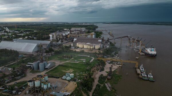 Vista de plantas procesadoras de grano a orillas del río Paraná en Puerto General San Martín, Argentina - Sputnik Mundo