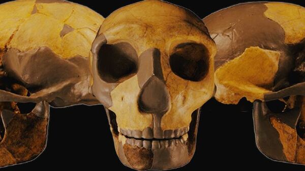 Cráneo del antiguo homínido de China - Sputnik Mundo