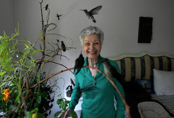 Catia Lattouf, una jubilada de la Ciudad de México que empezó a cuidar de pájaros heridos en su jardín hace 10 años, se ha dedicado a cuidar colibríes heridos. Hoy, Catia es una especialista en rehabilitación de colibríes. - Sputnik Mundo