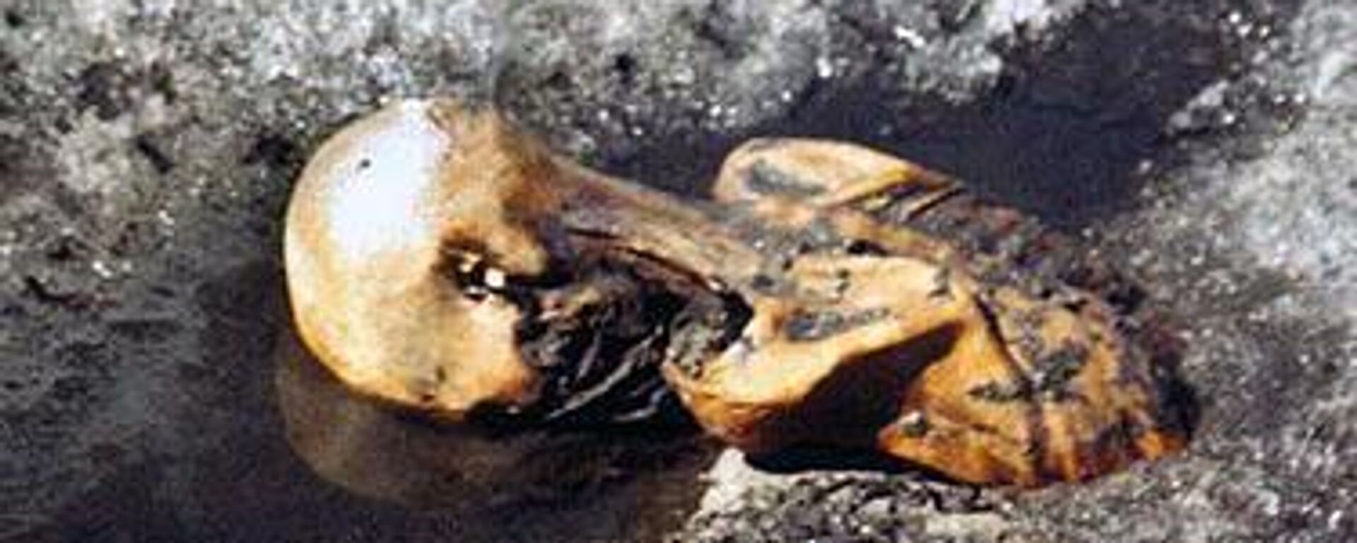 Ötzi, 'el hombre de hielo' aún congelado en el glaciar tras el descubrimiento del cadáver en septiembre de 1991 - Sputnik Mundo, 1920, 20.08.2023