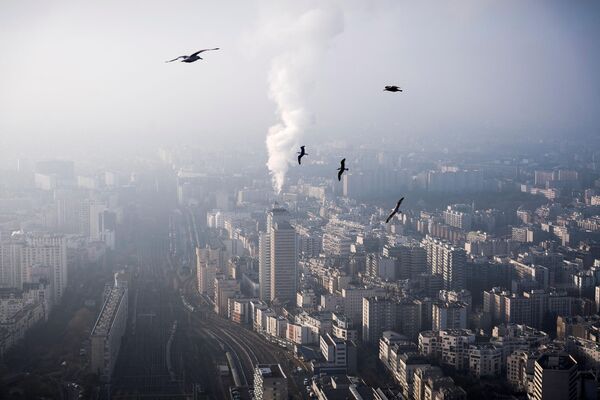 Las emisiones de partículas y gases procedentes de las actividades humanas tienen un impacto negativo directo en la salud.En la foto: gaviotas en el cielo de París, Francia. - Sputnik Mundo