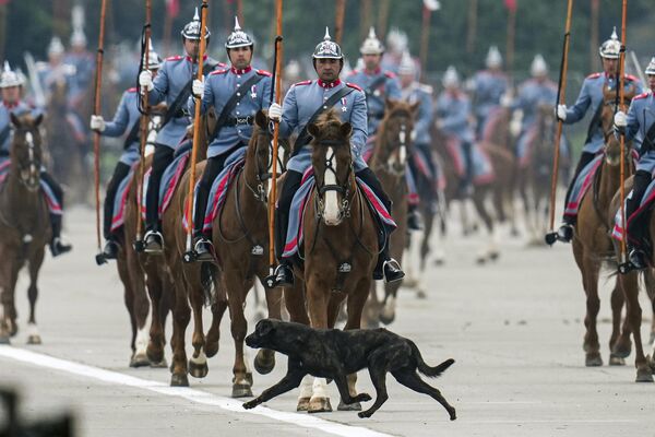 Regimiento de escolta presidencial durante el desfile militar del Día de las Glorias del Ejército en Santiago de Chile. - Sputnik Mundo