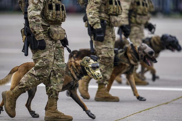 Soldados chilenos marchan con perros de rescate. - Sputnik Mundo