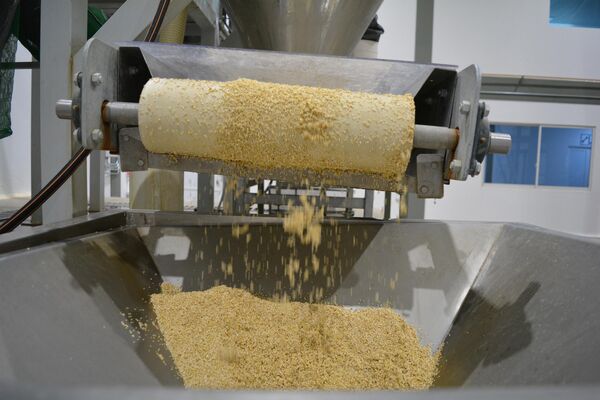 Planta procesadora de quinoa en Sorocachi, Oruro, Bolivia - Sputnik Mundo