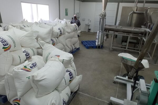Planta procesadora de quinoa en Sorocachi, Oruro, Bolivia - Sputnik Mundo
