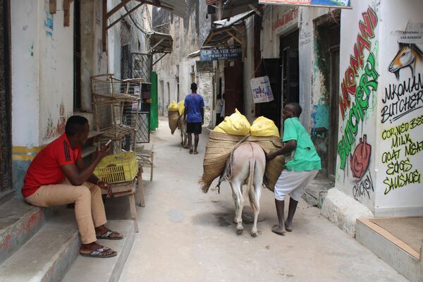 En la isla de Lamu, Kenia, el burro sigue siendo el principal medio de transporte. - Sputnik Mundo
