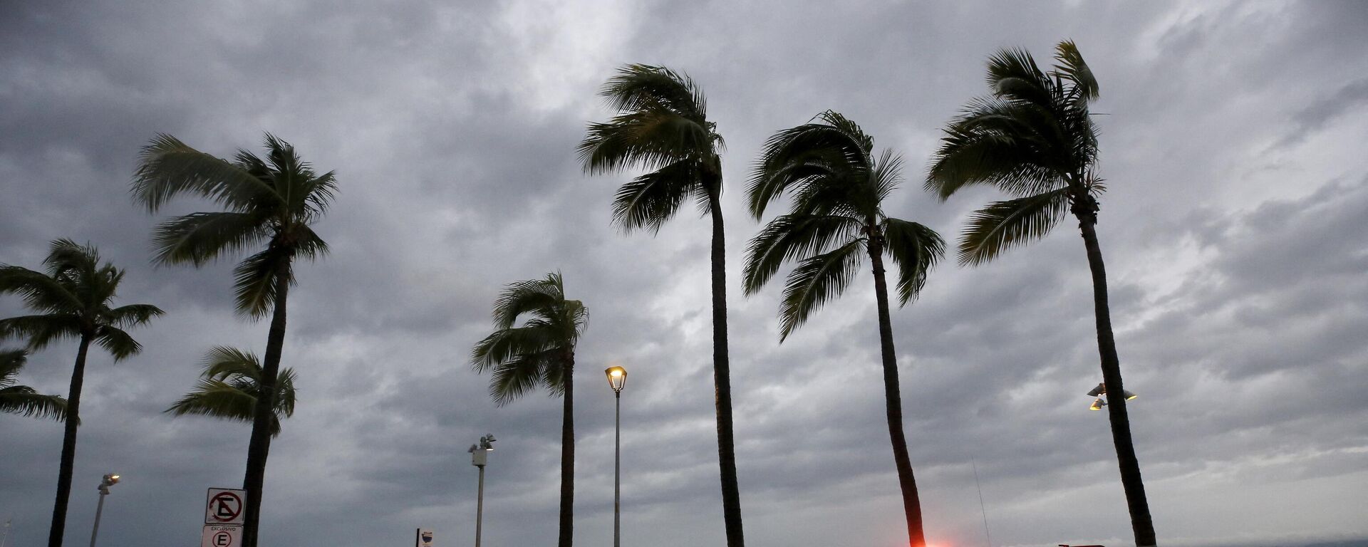 Las palmeras resisten el viento en Puerto Vallarta, estado de Jalisco, México, el 10 de octubre de 2023  - Sputnik Mundo, 1920, 18.10.2023