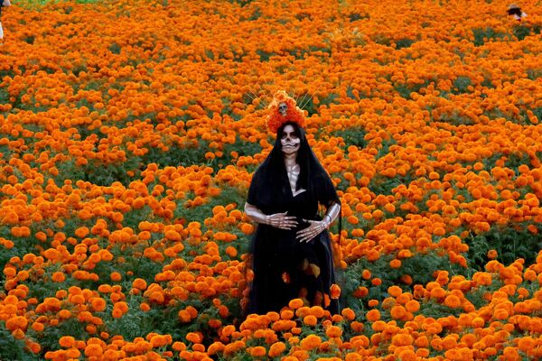 Una mujer vestida de Catrina es fotografiada en un campo de terciopelos mientras se prepara para celebrar el Día de Muertos en Tlajomulco de Zúñiga, Jalisco, México. - Sputnik Mundo
