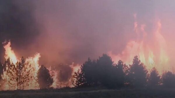 Las FFAA ucranianas destruyen la reserva natural de Kinburn con municiones de fósforo - Sputnik Mundo
