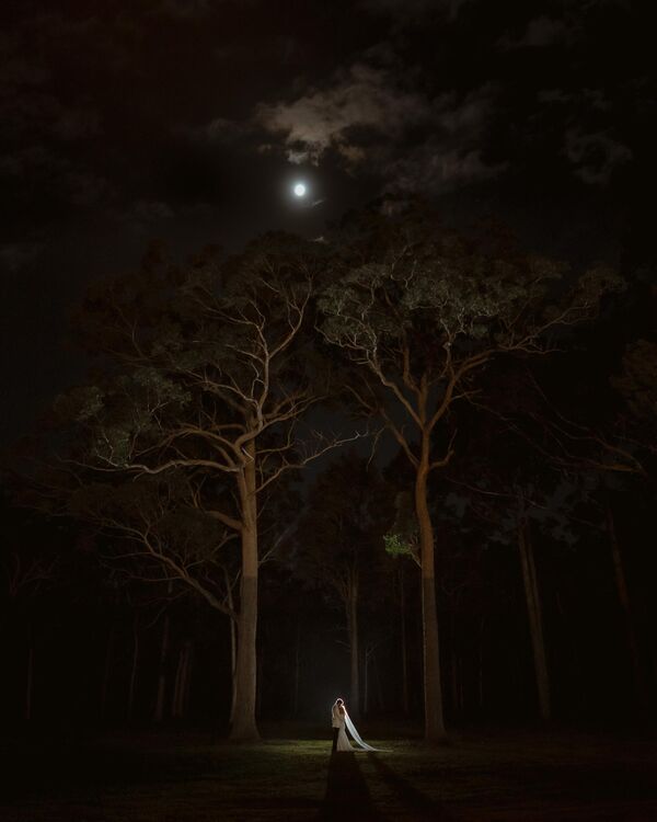 Una imagen del fotógrafo Van Middleton (Australia) ganadora de la categoría LIT, o iluminación en español. - Sputnik Mundo
