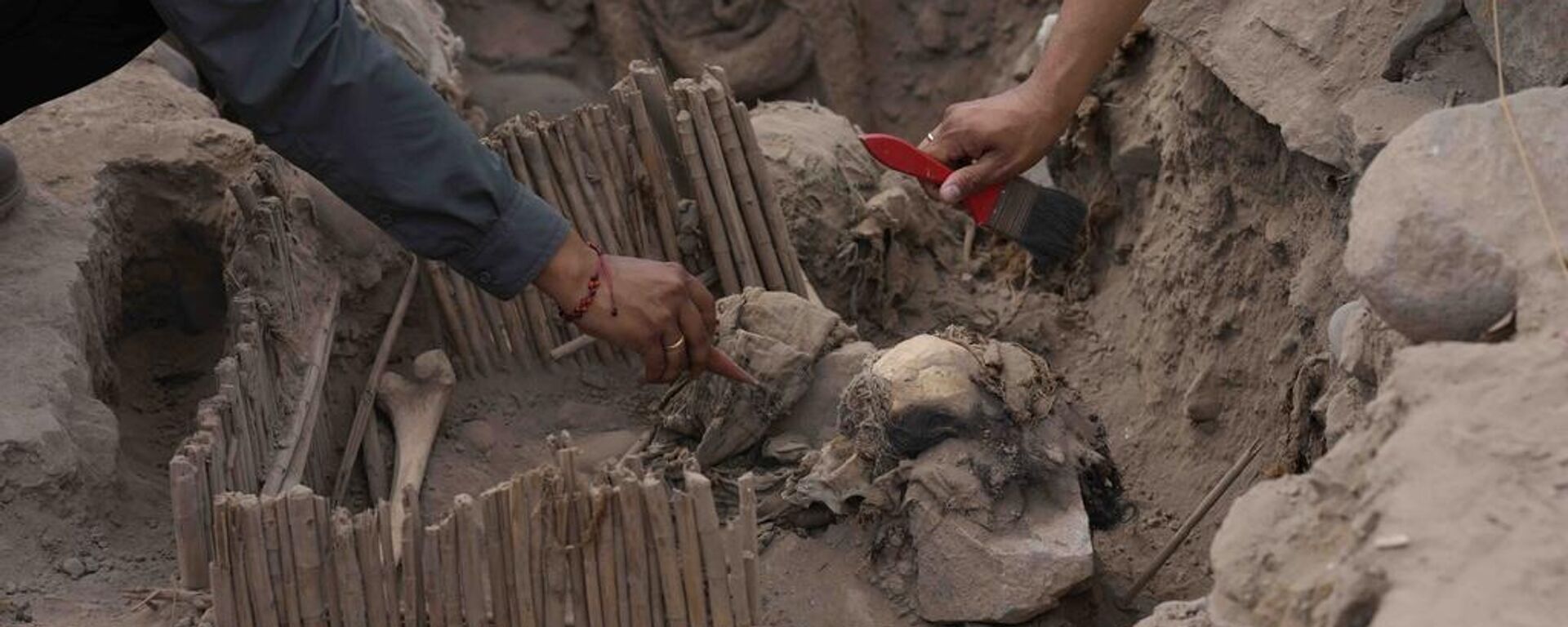 Momias peruanas en el yacimiento arqueológico de El Rimac, el 20 de noviembre de 2023 - Sputnik Mundo, 1920, 10.12.2023