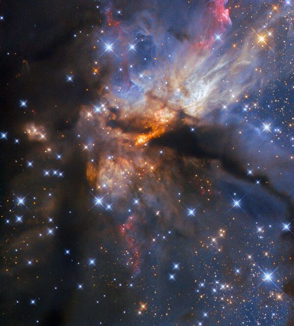 El telescopio espacial Hubble capturó la región activa de formación estelar G35.2-0.7N, situada a 7.200 años luz de la Tierra, hacia la constelación del Águila. - Sputnik Mundo