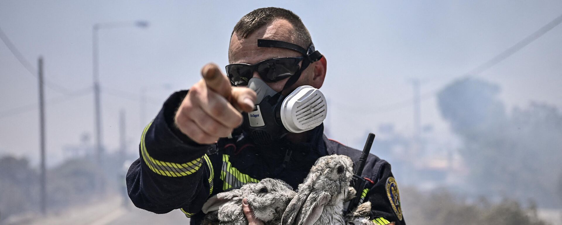 Un bombero con animales rescatados durante un incendio forestal en la isla griega de Rodas, 24 de julio de 2023. - Sputnik Mundo, 1920, 28.12.2023