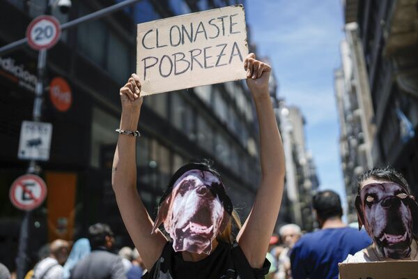 Participante en una manifestación antigubernamental en Buenos Aires, Argentina. - Sputnik Mundo