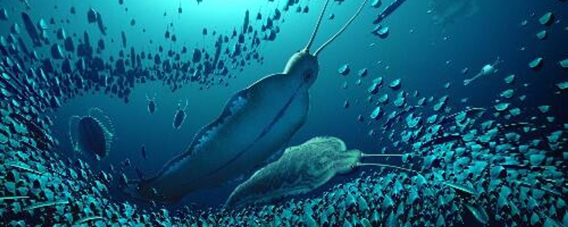 Una reconstrucción del ecosistema pelágico y de los organismos fosilizados en Sirius Passet, revelan cómo el Timorebestia fue uno de los mayores depredadores acuáticos hace más de 518 millones de años. - Sputnik Mundo, 1920, 09.01.2024
