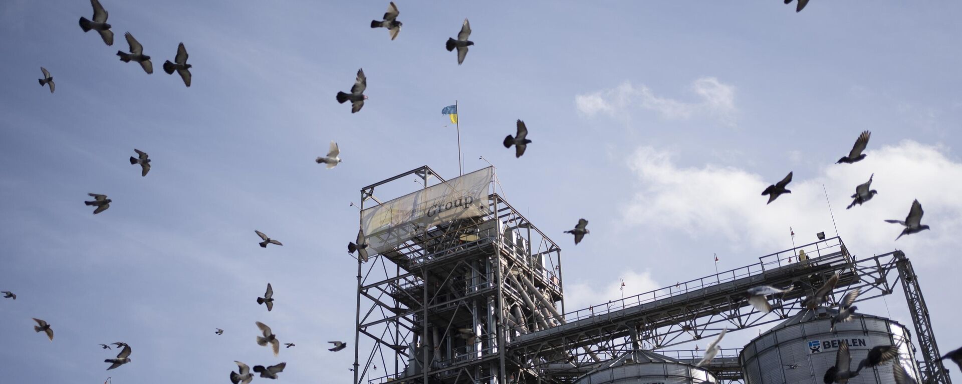 Unas aves volando alrededor de unas instalaciones de manipulación y almacenamiento de grano en el centro de Ucrania, el 10 de noviembre de 2023. - Sputnik Mundo, 1920, 10.01.2024