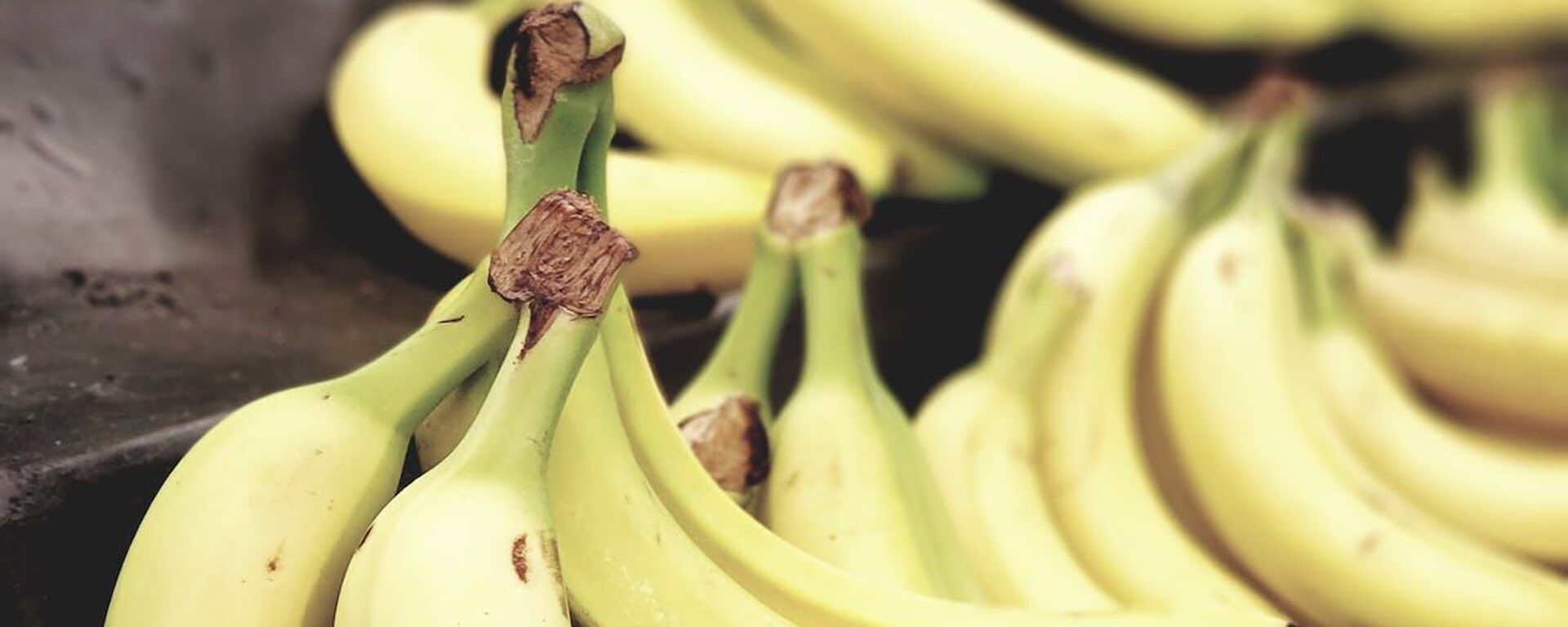 La industria del banano es una de las más relevantes de Ecuador. - Sputnik Mundo, 1920, 10.01.2024