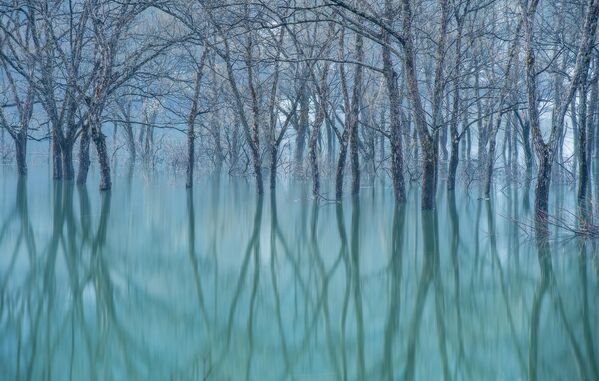 Una imagen del fotógrafo japonés Kazuaki Koseki del lago Shirakawa en la ciudad japonesa Lide, recibió una mención especial en la categoría Paisaje y Medioambiente (Landscape and Environment Portfolio). - Sputnik Mundo