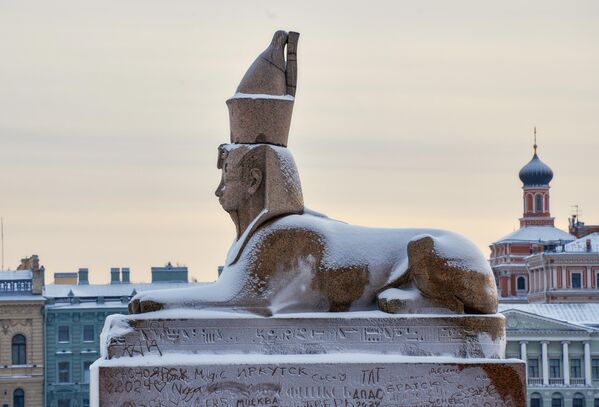 En San Petersburgo, a principios de año, la columna del termómetro cayó a los 37 °C bajo cero. Un invierno tan frío no ha ocurrido aquí desde 1950.En la foto: la esfinge egipcia en San Petersburgo. - Sputnik Mundo