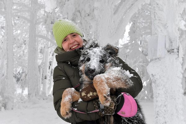 Una mujer con un perro en una helada de 30 °C camina por el bosque en el territorio de la región de Krasnoyarsk. - Sputnik Mundo