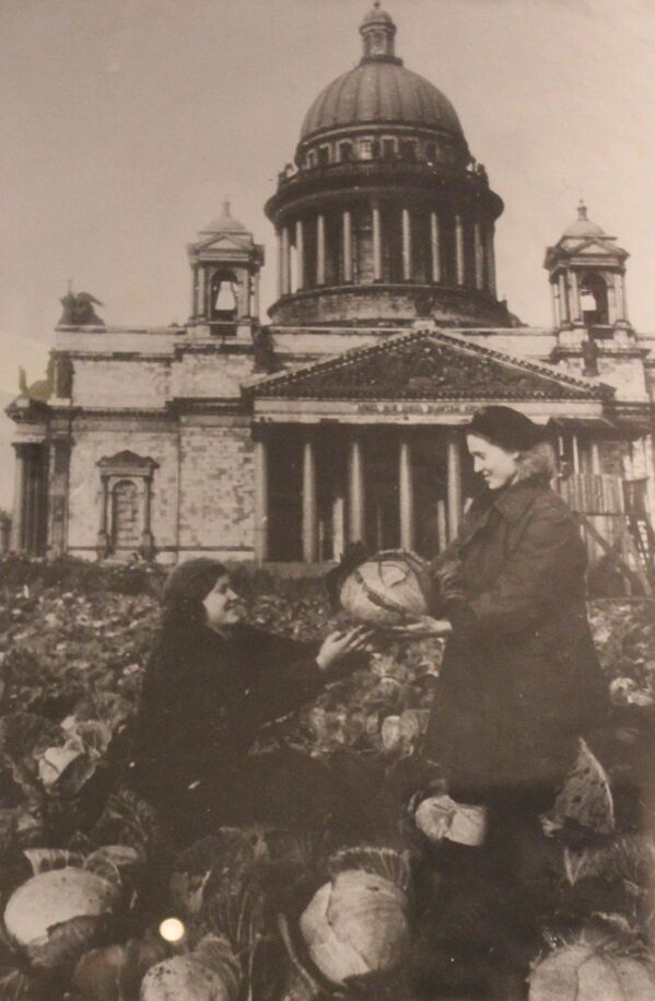 Cada día morían de inanición unas 4.000 personas durante el bloqueo. En la foto: habitantes de Leningrado cosechan coles en un huerto cerca de la catedral de San Isaac. - Sputnik Mundo