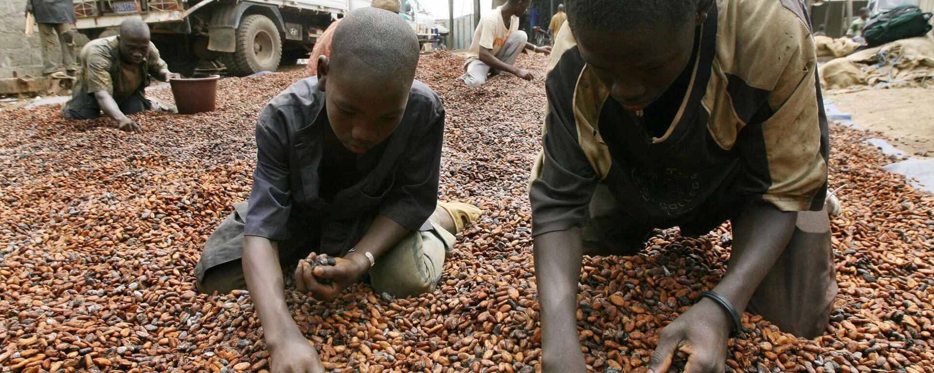 Niños africanos trabajando en una plantación de cacao (archivo) - Sputnik Mundo, 1920, 28.01.2024