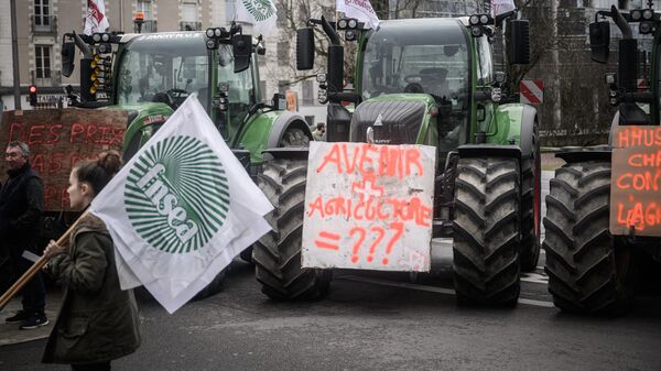 La Federación Nacional de Sindicatos de los Trabajadores Agrícolas impulsa movilizaciones contra Emmanuel Macron - Sputnik Mundo