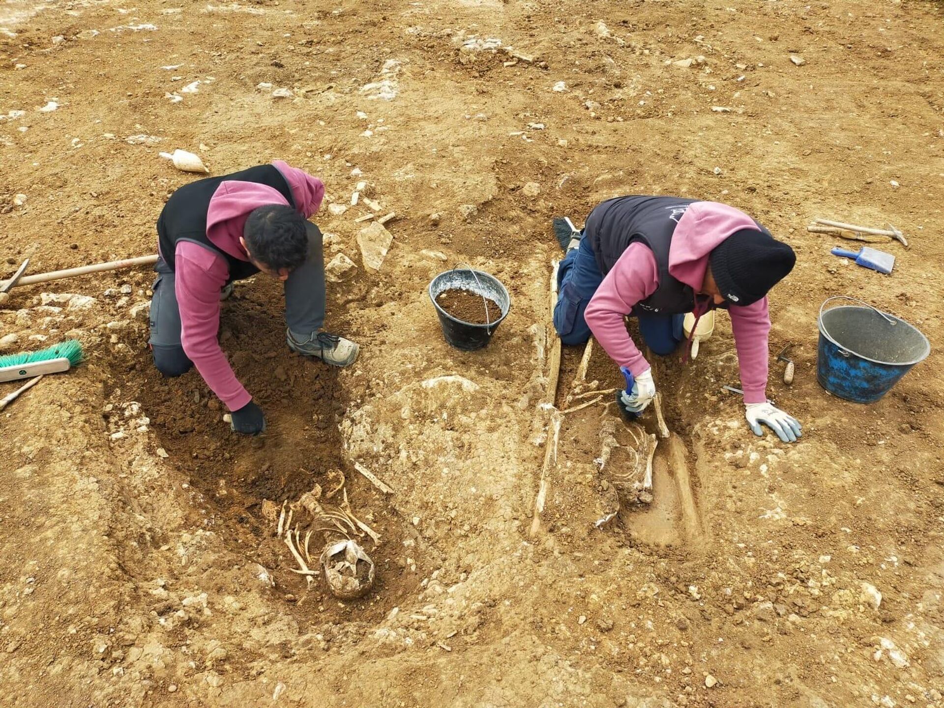 Excavación arqueológica realizada en la necrópolis de Tuscania, Italia - Sputnik Mundo, 1920, 03.02.2024