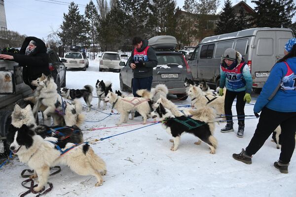 Los atletas con cola fueron representados por perros de razas husky, malamute, samoyedo, laika de Yakutia y otros. - Sputnik Mundo