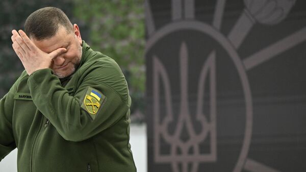 El comandante en jefe de las Fuerzas Armadas de su país, Valeri Zaluzhni - Sputnik Mundo