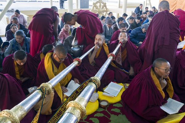 Monjes tibetanos en el exilio tocan cuernos ceremoniales durante las oraciones matutinas para marcar el primer día del Año Nuevo tibetano en el templo de Tsuglakhang, en la India. - Sputnik Mundo