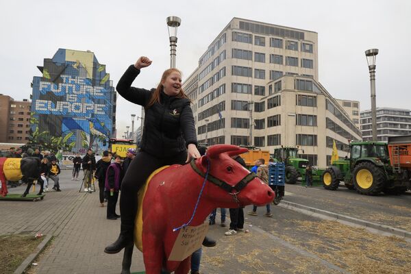 Cultivadores de Bélgica, Francia, Alemania, Luxemburgo y los Países Bajos participaron en la acción.En la foto: una manifestante monta una vaca de plástico. - Sputnik Mundo