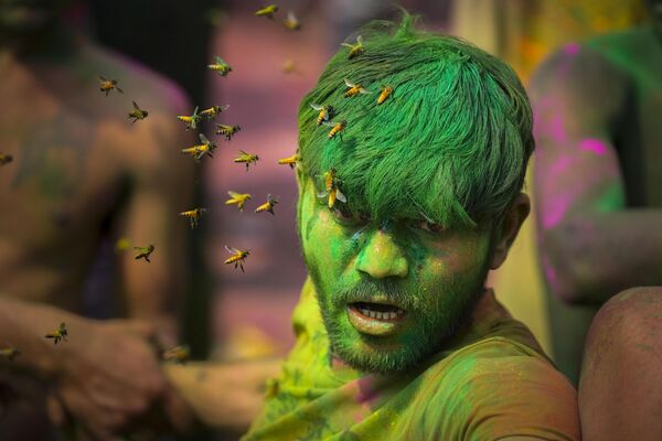 El festival de primavera de Holi es una de las fiestas más coloridas del mundo que se celebra en marzo.En la foto: un enjambre de abejas ataca a un hombre durante las celebraciones del festival tradicional Holi en Guwahati, la India.  - Sputnik Mundo
