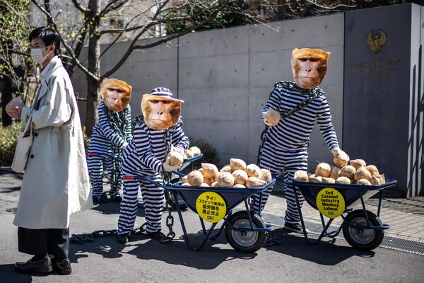 Activistas enmascarados de monos del grupo de defensa de los derechos de los animales Personas por el Trato Ético de los Animales frente a la embajada de Tailandia en Tokio. - Sputnik Mundo