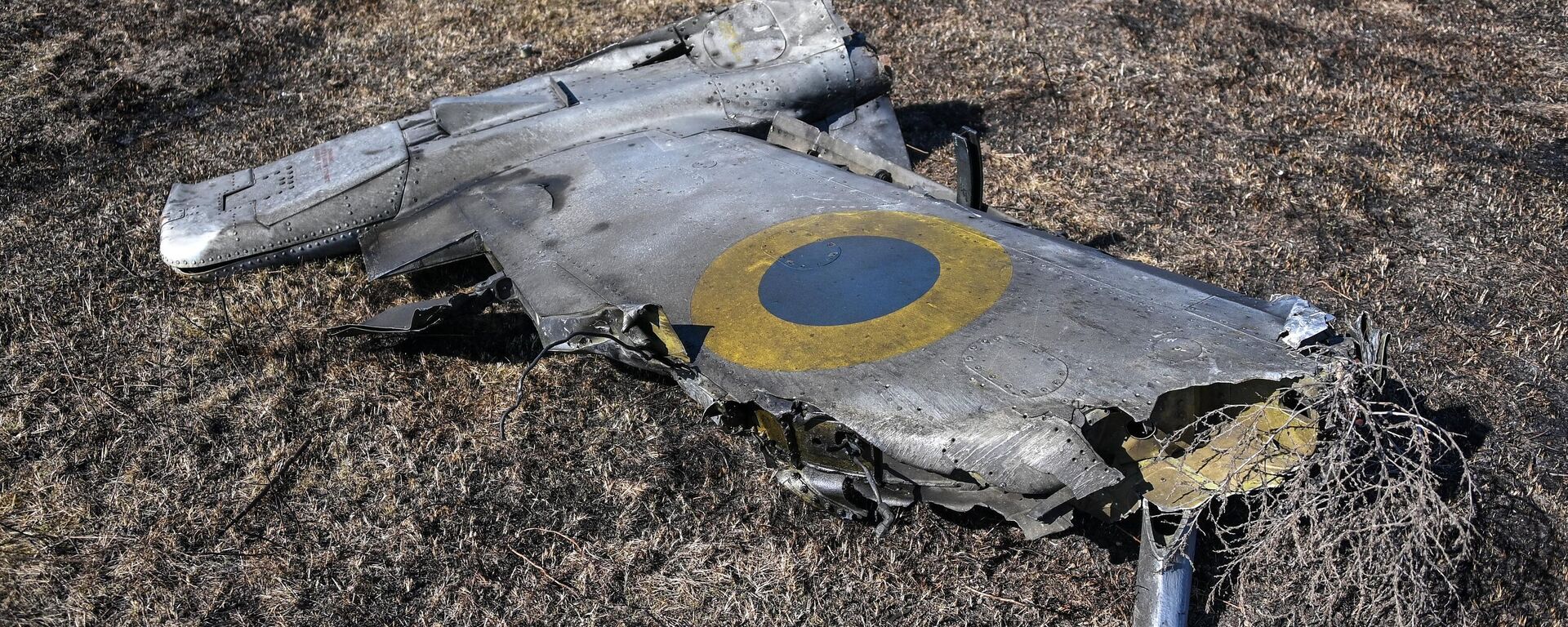 Un avión Su-25 de las FFAA de Ucrania derribado (archivo) - Sputnik Mundo, 1920, 31.03.2024